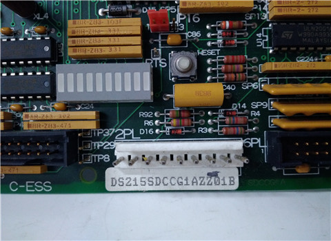 DS200SDCCG1AGD DS215SDCCG1AZZ01B
