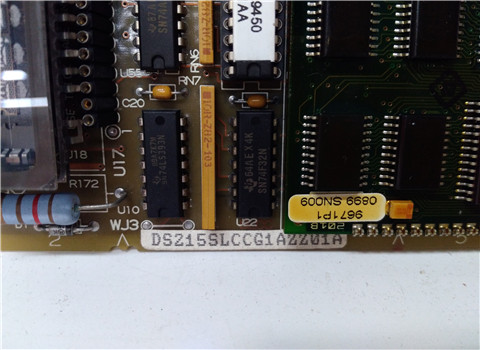 DS200SVMAG1A