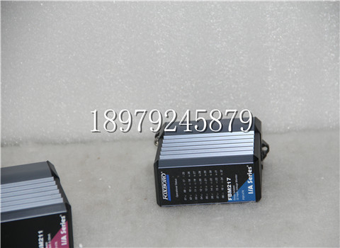 P081000000FF