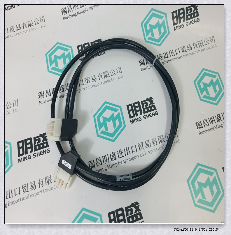 FCP270 P0917YZ FOXBORO福克斯波罗 现场控制处理器