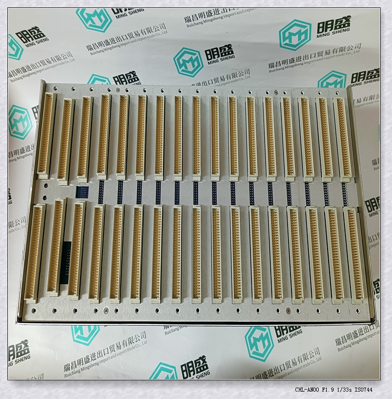 1900/65A-00-11-01-02-00  LC備件本特利模塊