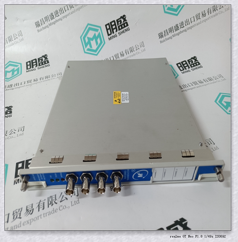1900/65A-00-11-01-00-01  LC備件本特利模塊