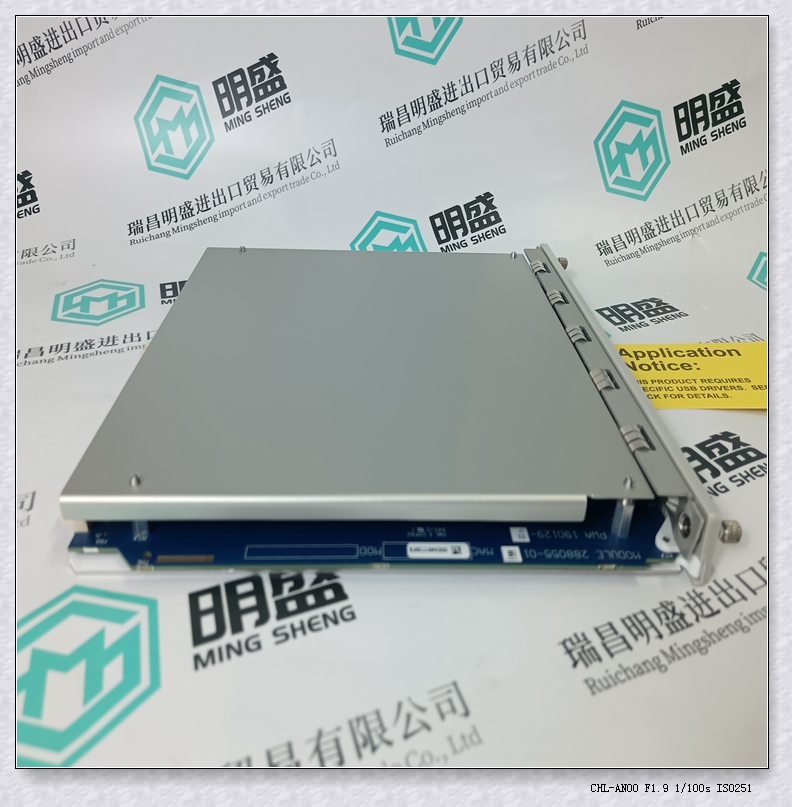 BENTLY 3500/50-01-00-01本特利 接口I / O模块