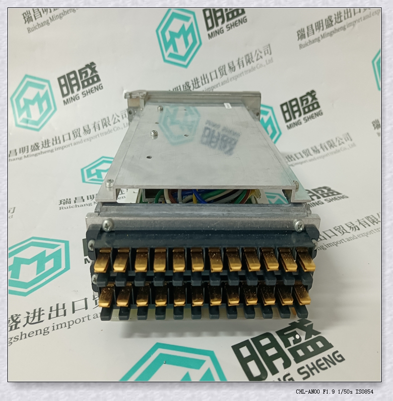 BENTLY 本特利125800-01超速检测模块