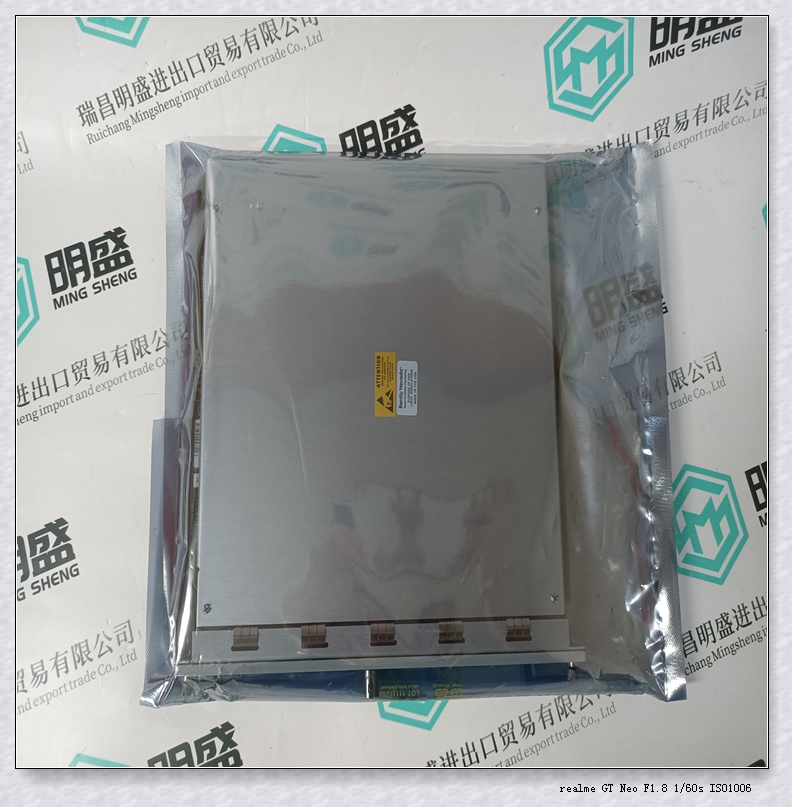 BENTLY 本特利106M1081-01超速检测模块