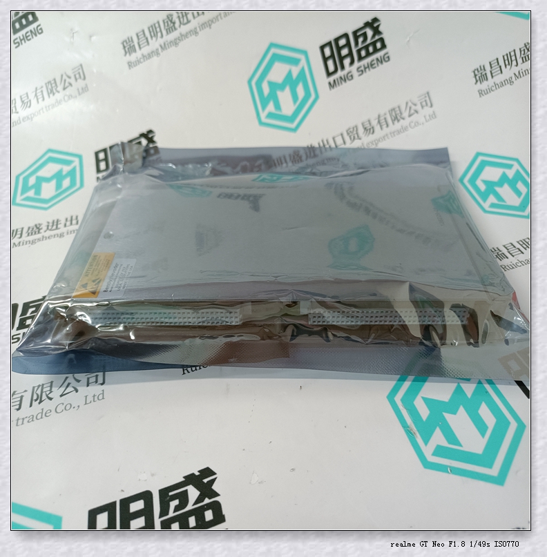 BENTLY 本特利125840-01超速检测模块