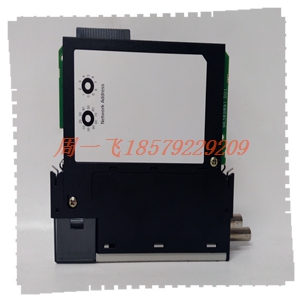 DS215DMCBG1A模块备件