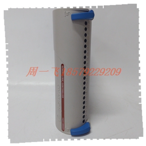 DS3800NASB1B1C 模块备件