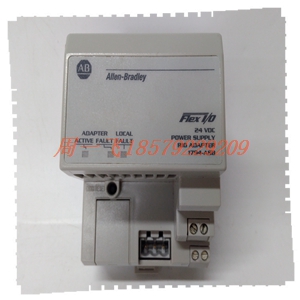 DS4820R10  194B5703G1模块备件