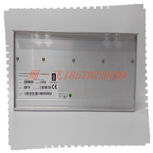 DS3800NFCB1U1U  模块备件