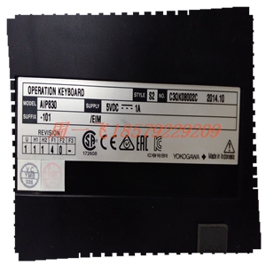 DS3800HMPJ1A1D  模块备件