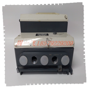 DS3810DDDB 模块备件