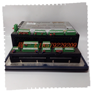 DS200TCEBG1ABC模块备件