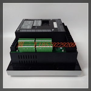 DS3800NMEC1F1C模块备件