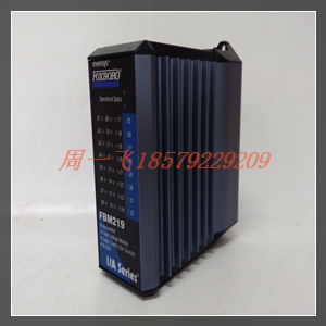 EEA-PAM-568-A-32模块备件