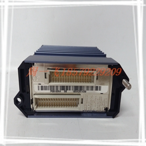 BLIV-D100A模块备件