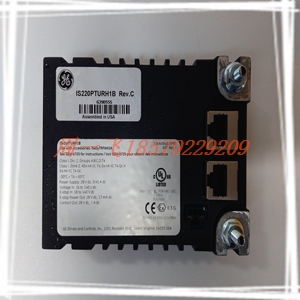 BLll-D-100A模块备件