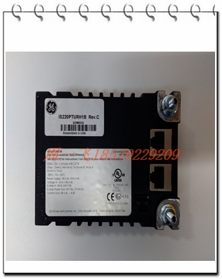 DECS-200-2L模块备件