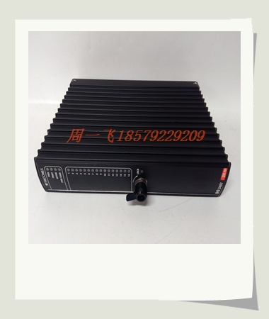 DS3800NEPD1D1B模块备件