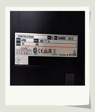 DS3800NFCD1G1B模块备件