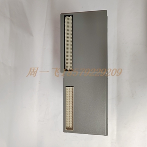 ICS TRIPLEX T8111C模块备件
